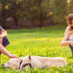 How To Fix Improper Posture for Back and Neck Pain Relief